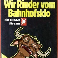 Wir Rinder vom Bahnhofsklo #009 Ulf Kramer & Herr Macht (Macht Vinyl Mix) 04.06.2023