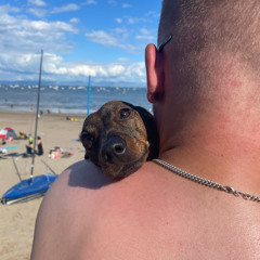 Abersoch Mix