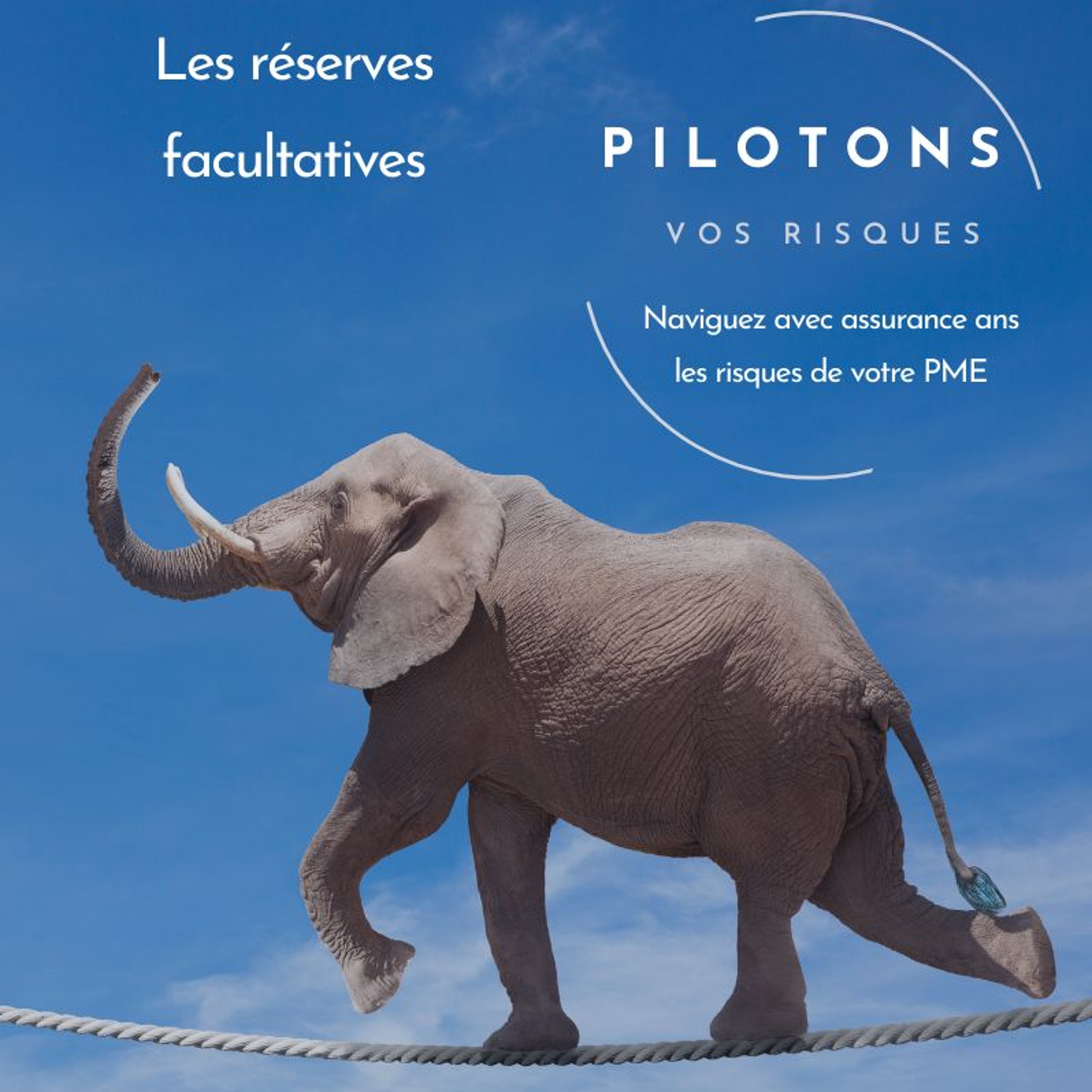 Les réserves facultatives