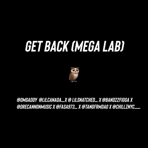 Get Back Mega Lab