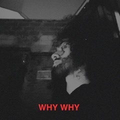 Why Why (If Looks Could Kill REMIX)