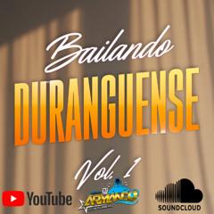 DURANGUENSE MIX V1 _ArmandoDJ_ El de QUERETRO : PURO PASITO DURANGUENSE.