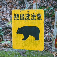 Bear attacks woman outside home for people with disabilities in Akita