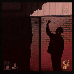 WASSAILER - 242 (Twiggy Garcia Remix)