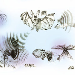 Oscillating mediums