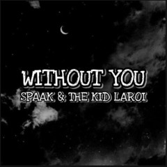 Without You ( Spaak Remix )