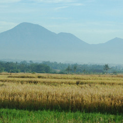 Korsakoff - Spring (Dj Honk Remixland Track 2) Version 1 (Unmastered)