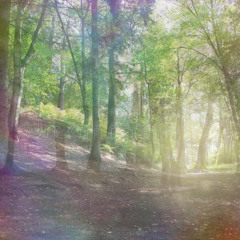 *‧.₊˚*੭*ˊᵕˋ੭.* (earthlight)