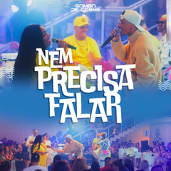 Nem Precisa Falar (Ao Vivo)