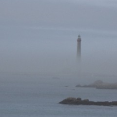 jasper dans la brume