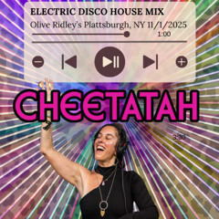 Olive Ridley's Plattsburgh, NY 11/1/25