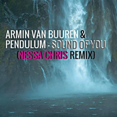 Armin van Buuren & Pendulum - Sound Of You (Nessa Chris Remix)