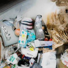 i wanna rot with you and waste the rest of the year