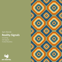 Sam Borski - Forked Realities (Original Mix)