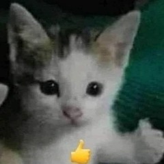 Psybroso