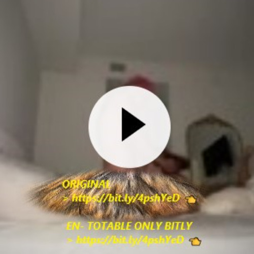 [COMPLETO] COMO VER EL VIDEO DE ISABELLA LADERA Y BEELE INTIMO TELEGRAM