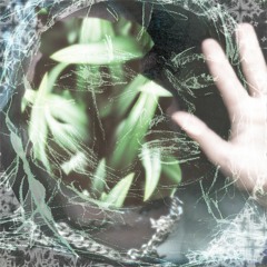 fear (of) causing misunderstanding