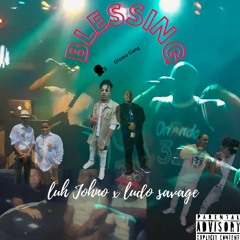 Blessing x Ludo Savage