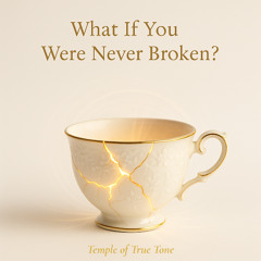 2_What-If-You-Were-Never-Broken-Substack-Article