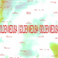 Golden Medusa | TM8 #04