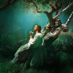 Father Forgive (Prod. Falak)