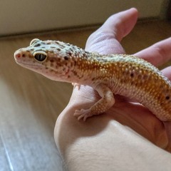 降りてきたメロディ