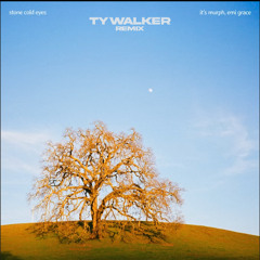 it's murph & Emi Grace - Stone Cold Eyes (Ty Walker Remix)