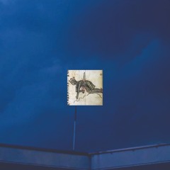 bloody noisy putrid summer