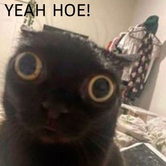 YEAH HOE! (2025 SEKIZO KIT)