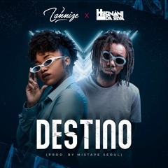 Destino (feat. Hernâni da Silva)