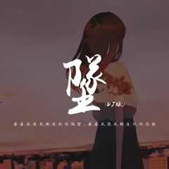 你的大表哥曲甲 - 坠(DJ版)「看着我退 我颓废到你隔壁，看着我退 我颓废到你恐惧」【動態歌詞/pīn yīn gē cí】