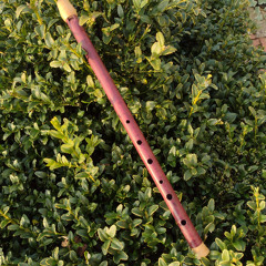 Road to Cheltenham on G whistle