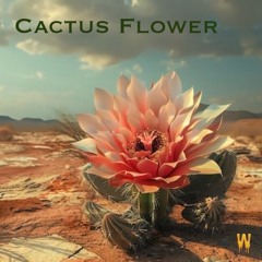 Cactus Flower