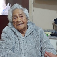 As flores da Belisia