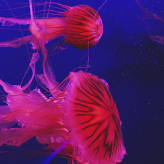 Waves 1.3. Abstract Is New Standard - neuroplasticity quantum booster experimental ambient 3D