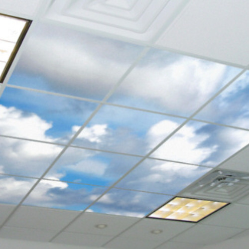 𝙞𝙣𝙩𝙪𝙞𝙩𝙞𝙤𝙣