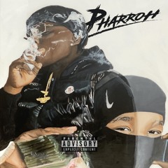 PAPER PLANES
