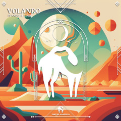 Ivandis & Tinik - Volando [Cafe De Anatolia]