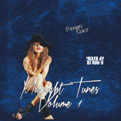 DJ RUN-O - MIDNIGHT TUNES VOL.1