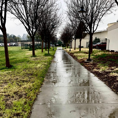 pls kill me if this Is what's cool