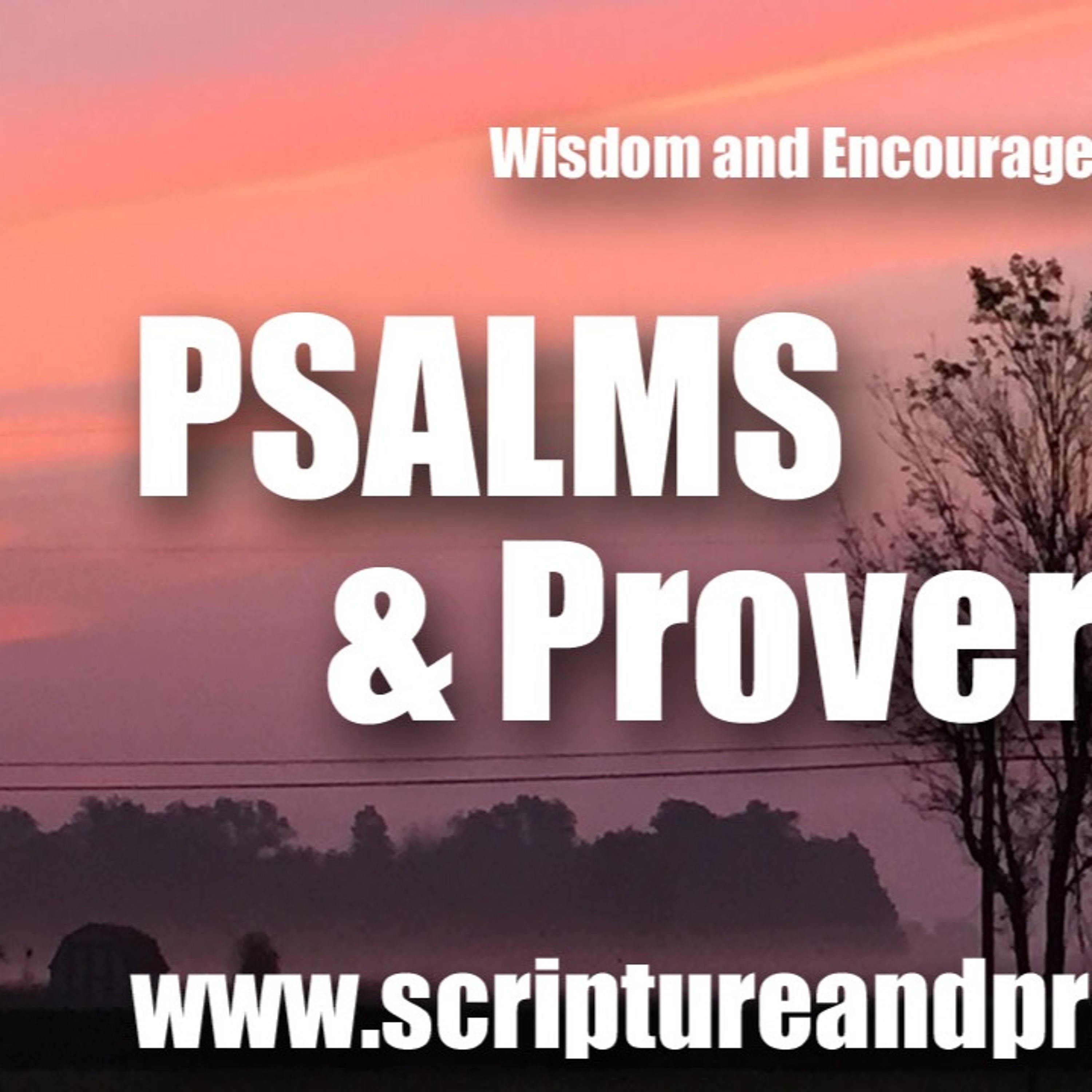 Wisdom From Psalm 105 & Proverbs 23: Look Not Thou Upon The Wine When It Is Red