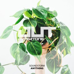 Soundstorm - Anything [Outertone Free Release]