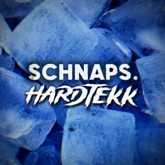 SCHNAPS HARDTEKK.mp3