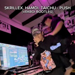 SKRILLEX, HAMDI, and TAICHU - Push [VEKBOI BOOTLEG]