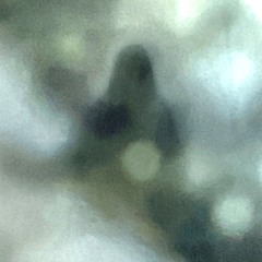 The Ghost Who Came in from the Cold [disquiet0722]