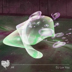 melt mix vol. 44 - DJ Luv You