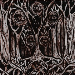 bababorii - obscure sighting (raw )