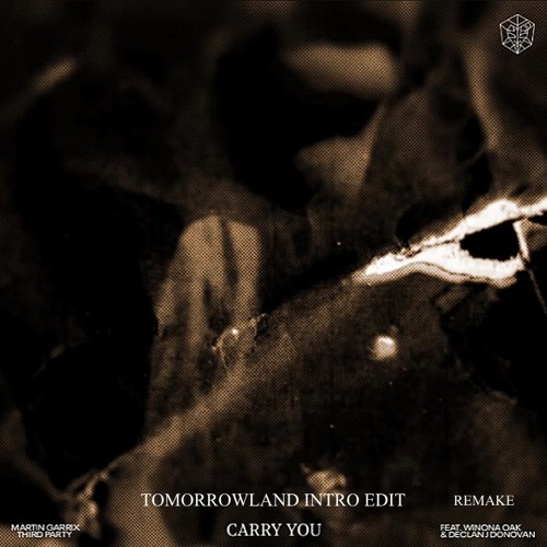 Martin Garrix & Third Party - Carry You feat. Oaks [Tomorrowland Intro Edit Remake]