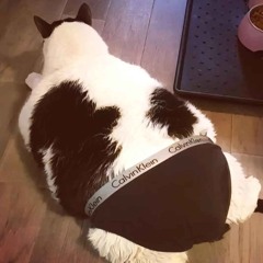 o sabor da mãe de karamelka e uma delícia!!!