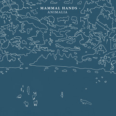 Mansions of Millions of Years